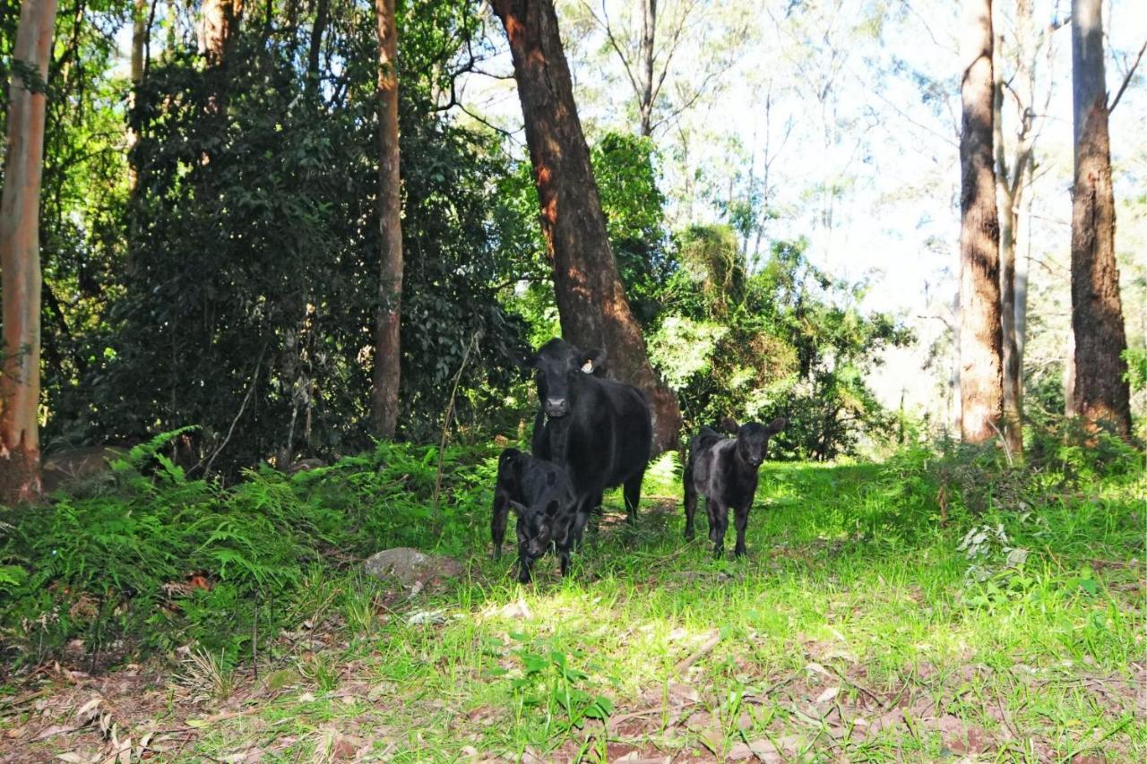 Alcheringa Amazing Location With Views Holiday home